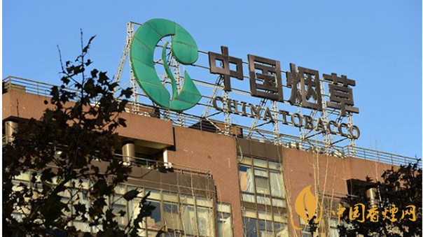 香煙漲價(jià)最新消息2020：香煙漲價(jià)真的能控?zé)焼?>
                                    <span>香煙漲價(jià)最新消息2020：香煙漲價(jià)真的能控?zé)焼?/span>
                                    <p>現(xiàn)在我國(guó)煙民的基數(shù)在不斷增大，而且有越來(lái)越多的青少年加入吸煙</p>
                                </a>
                            </li>
                                                                                </ul>
                    </div>

                </div>
            </div>
        </div>
    </div>

    
<link rel=