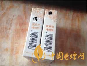 黃金葉天葉真假識別