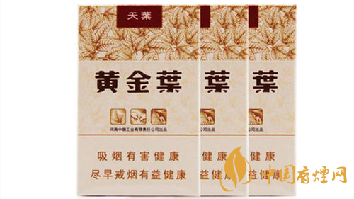 2020黃金葉天葉怎么樣？黃金葉大小天葉有什么不同