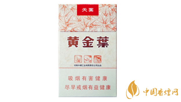 黃金葉天葉真假怎樣區(qū)分？黃金葉天葉真假識別