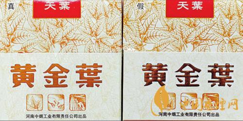 黃金葉天葉怎么區(qū)分 黃金葉天葉最新區(qū)分方法