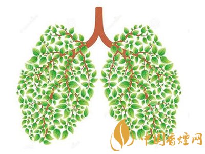 相比癌癥慢阻肺疾病離吸煙者更近！