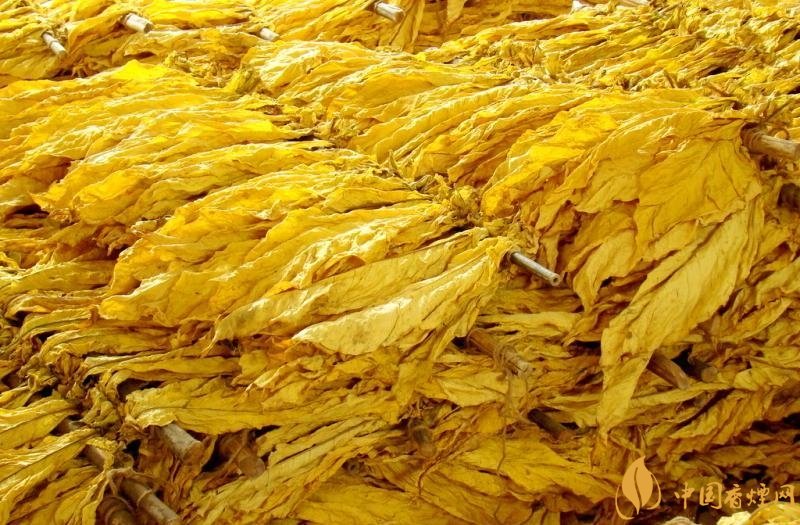 有機(jī)煙葉是什么，有機(jī)煙葉和普通煙葉的區(qū)別