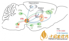 煙癮是什么 煙癮犯了怎么辦！