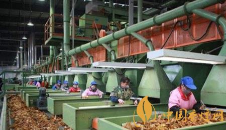 奮戰(zhàn)2020元春卷煙市場 需要從這三方面開始布局！